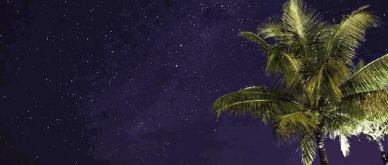 娉曞浗鍏嶇灏忓矝鏃呮父,娉曞浗鍏嶇娴峰矝鏃呮父