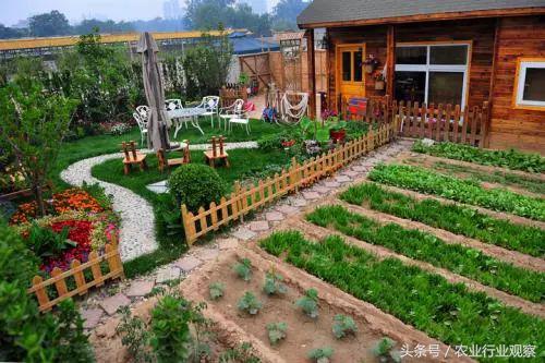 创业式商业模式,私家菜园盈利模式