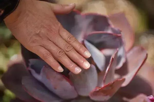 春来花自青秋至叶飘零原文解释,春来花自青秋至叶飘零出自哪里