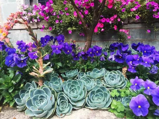 春来花自青秋至叶飘零原文解释,春来花自青秋至叶飘零出自哪里