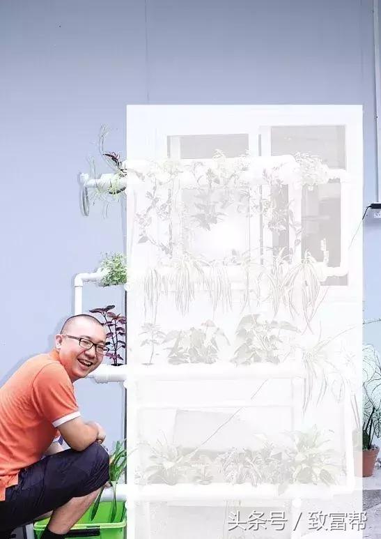 鱼菜共生农耕模式视频,diy鱼菜共生