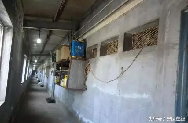 养猪是怎样提高生产效率的,如何提高养猪的人的技术