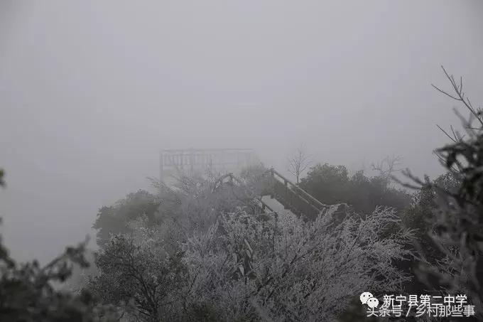 崀山鲸鱼闹海视频,不见鲸鱼的全部小说