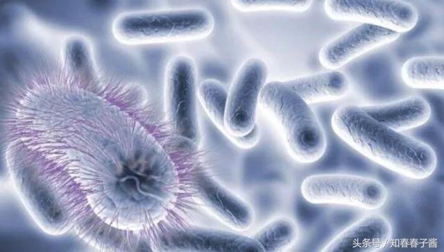 小便应该是从前往后擦么,小便过后用湿巾擦可以吗