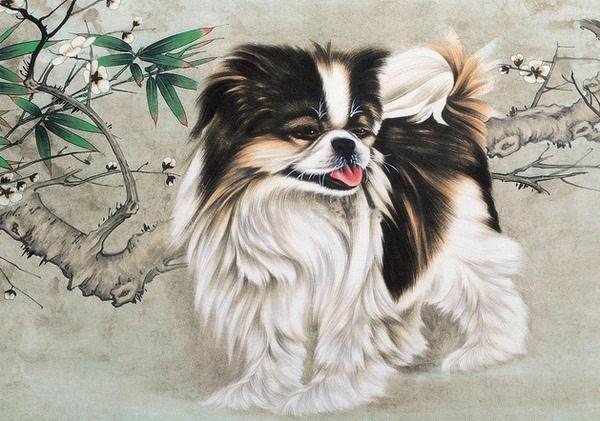 属狗人2022年运程运势老黄历,生肖属狗之人2016年运势