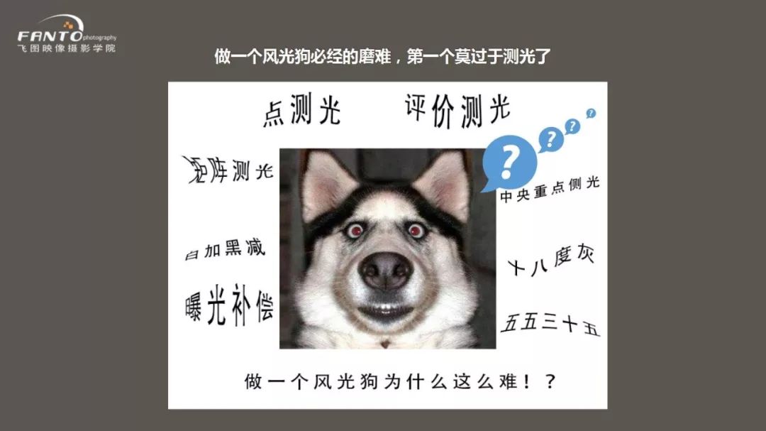 拍照测光模式的正确使用方法,手机拍照学会测光方法和测光技巧