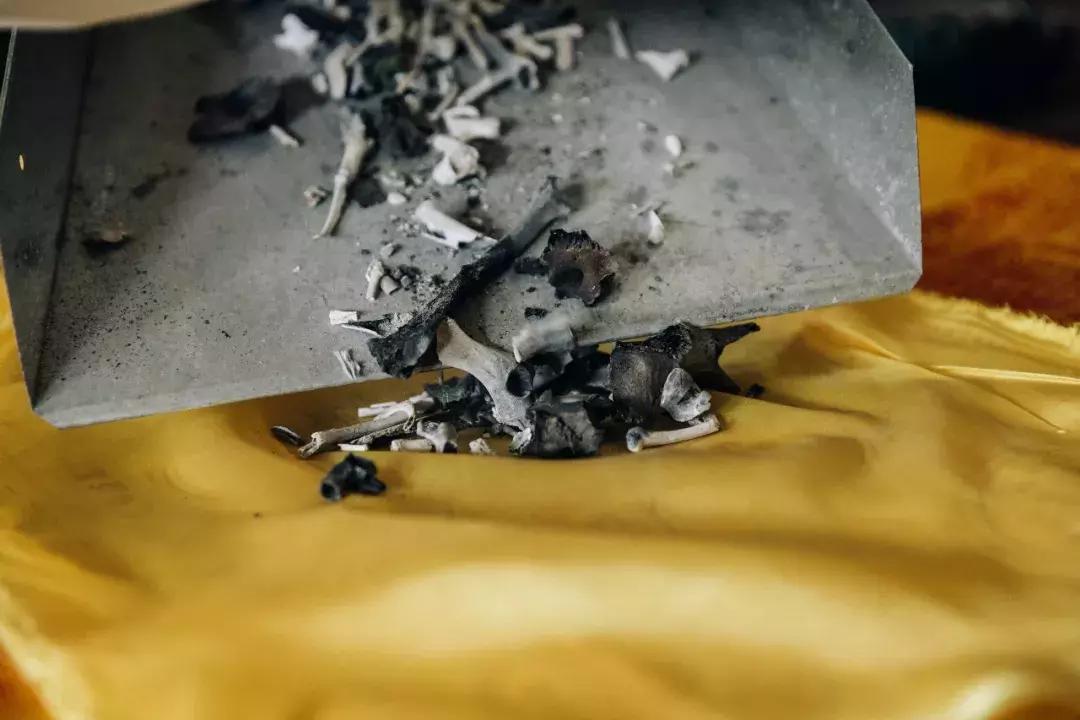 成都宠物殡葬师体验,宠物殡葬全过程家人哭了