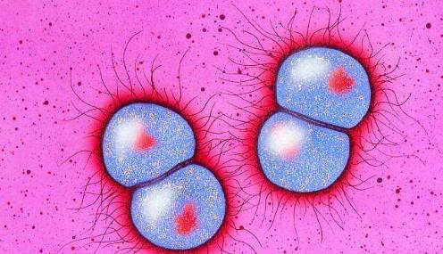 一男子感染超级淋病,英国男子患罕见怪病