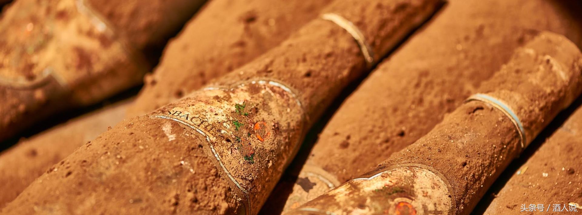 葡萄酒常见的10个误解你有几个,葡萄酒的那些误区你了解多少