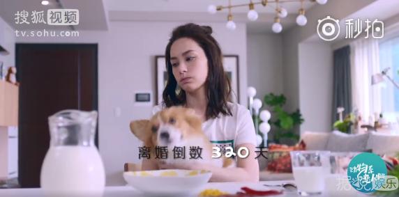 贺军翔婚后生活,已婚贺军翔疑似出轨