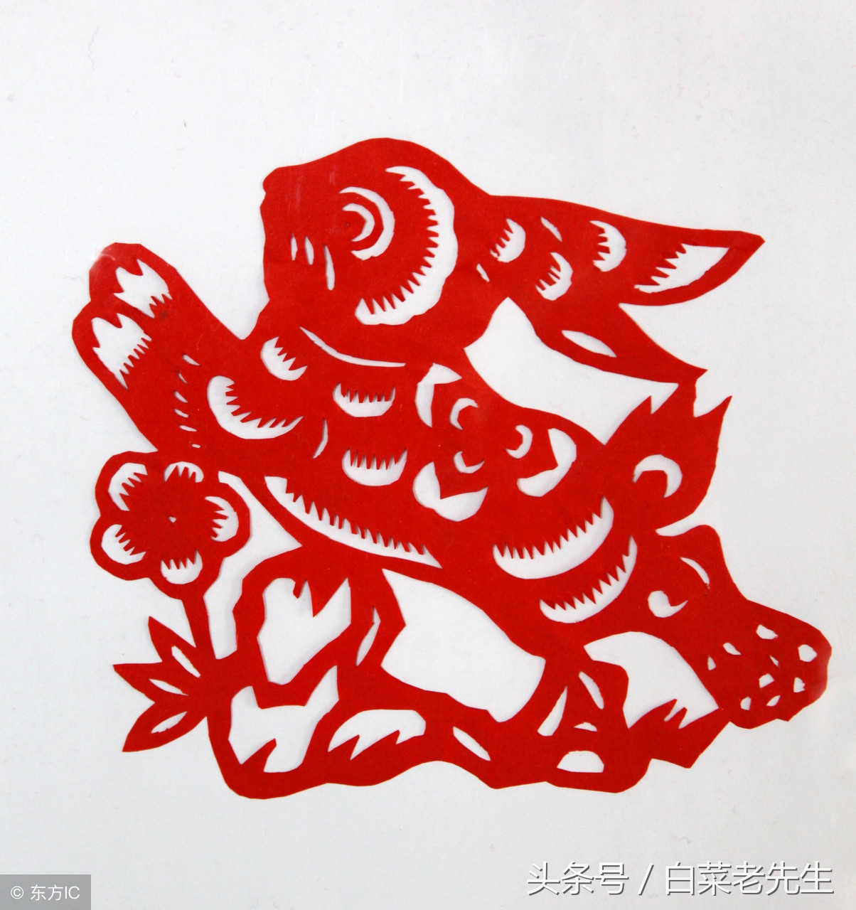 梦见出现12生肖的样子,梦见十二生肖分别代表着什么