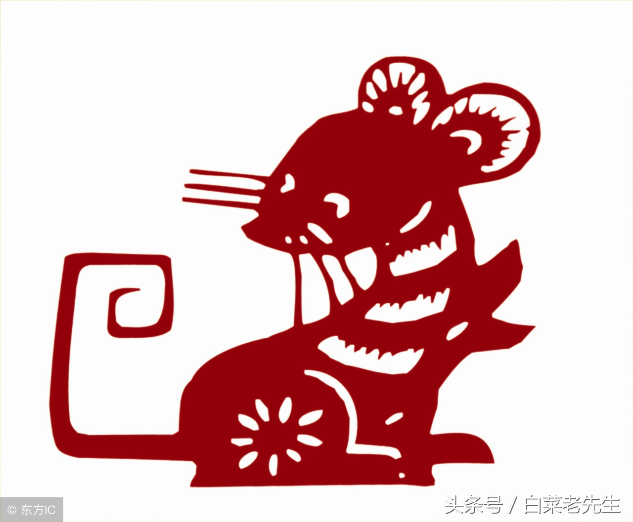 梦见十二生肖全部出现,梦中梦预示着什么生肖