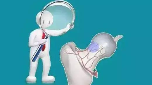 股骨头坏死病因及危险因素,股骨头容易坏死的部位