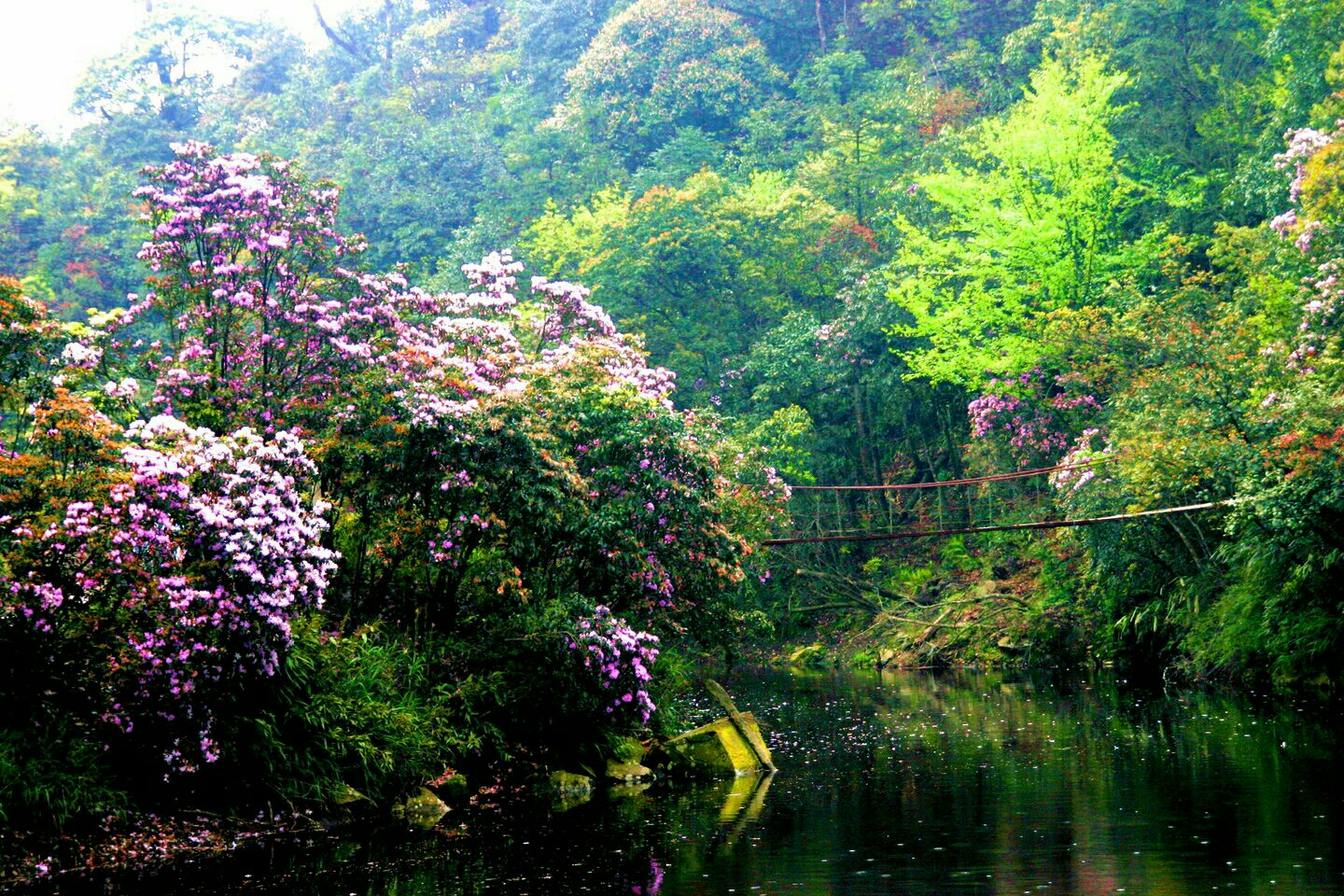 减字木兰花其三,减字木兰花暮春杂咏