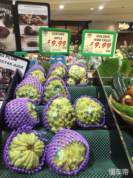 房车自驾游各国的真实生活,自驾环游世界的房车有多漂亮