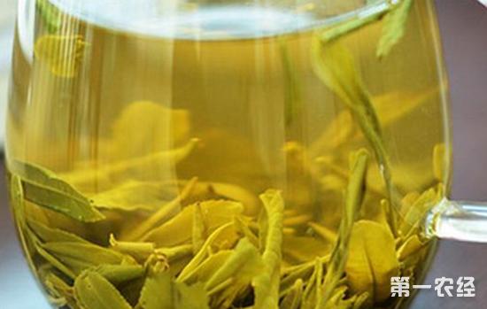 美丽浙江平阳,美丽浙江温州平阳