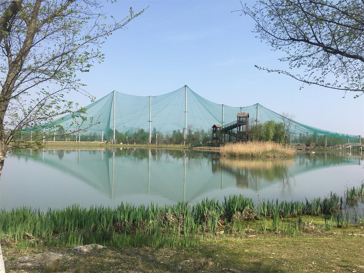 地铁去高淳老街怎么去,从南京如何坐地铁到高淳老街