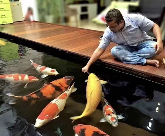 锦鲤鱼缸正确换水方法和技巧,锦鲤鱼缸加盐加药需要换水吗