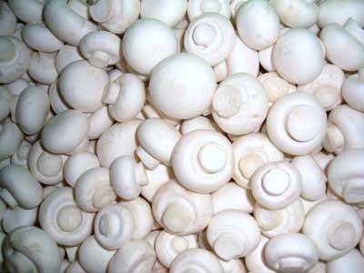 美丽苍南,美丽浙江温州瑞安