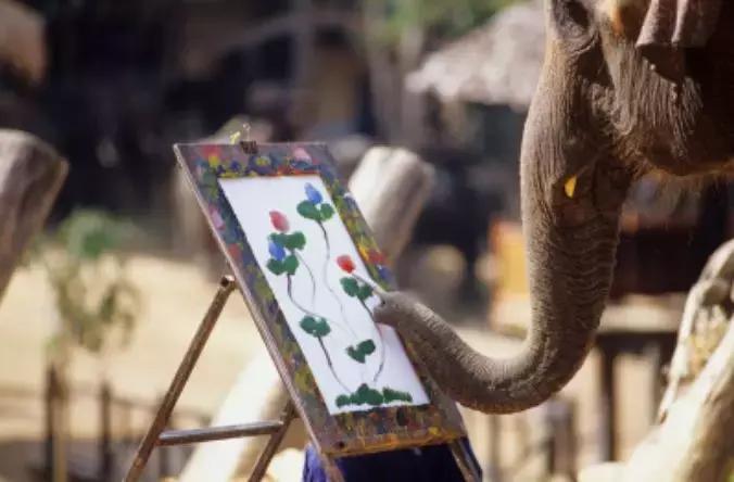 泰国四面佛周围还有什么景点,泰国北部神秘桃花源