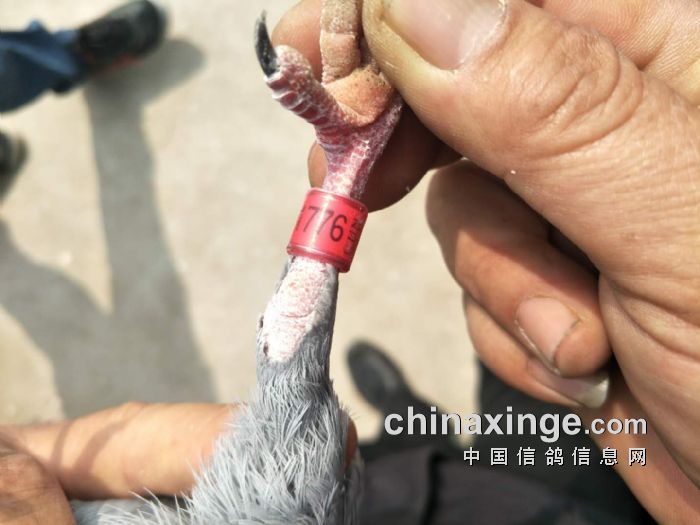 北京五区联翔：房山前十名英雄榜