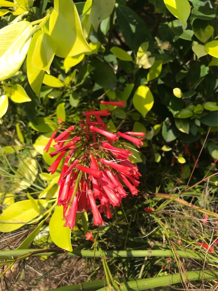 和闺蜜一起嗨的日子,和闺蜜们一起玩的快乐时光
