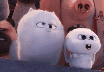 我买了10件“盗版”，省了2719块钱！