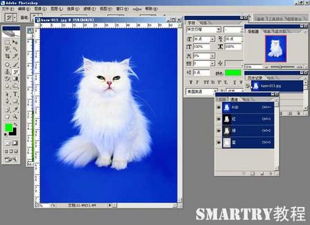 抠图抠不干净ps用哪个工具,ps抠图和ai抠图区别