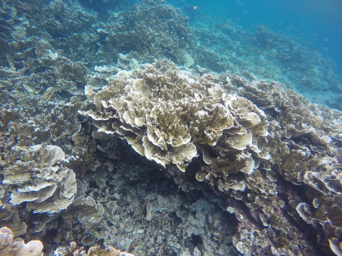 帕劳陆地环岛游,帕劳深度游玩攻略