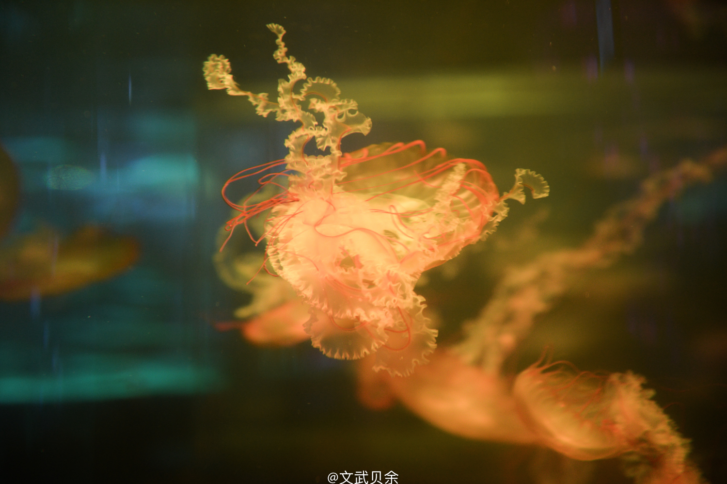 六安九十里山水画廊攻略,六安九十里山水画廊是啥