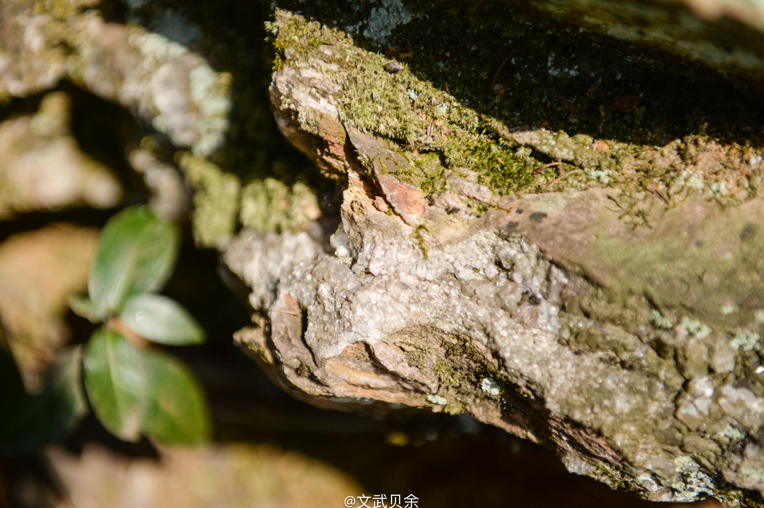 六安九十里山水画廊攻略,六安九十里山水画廊是啥