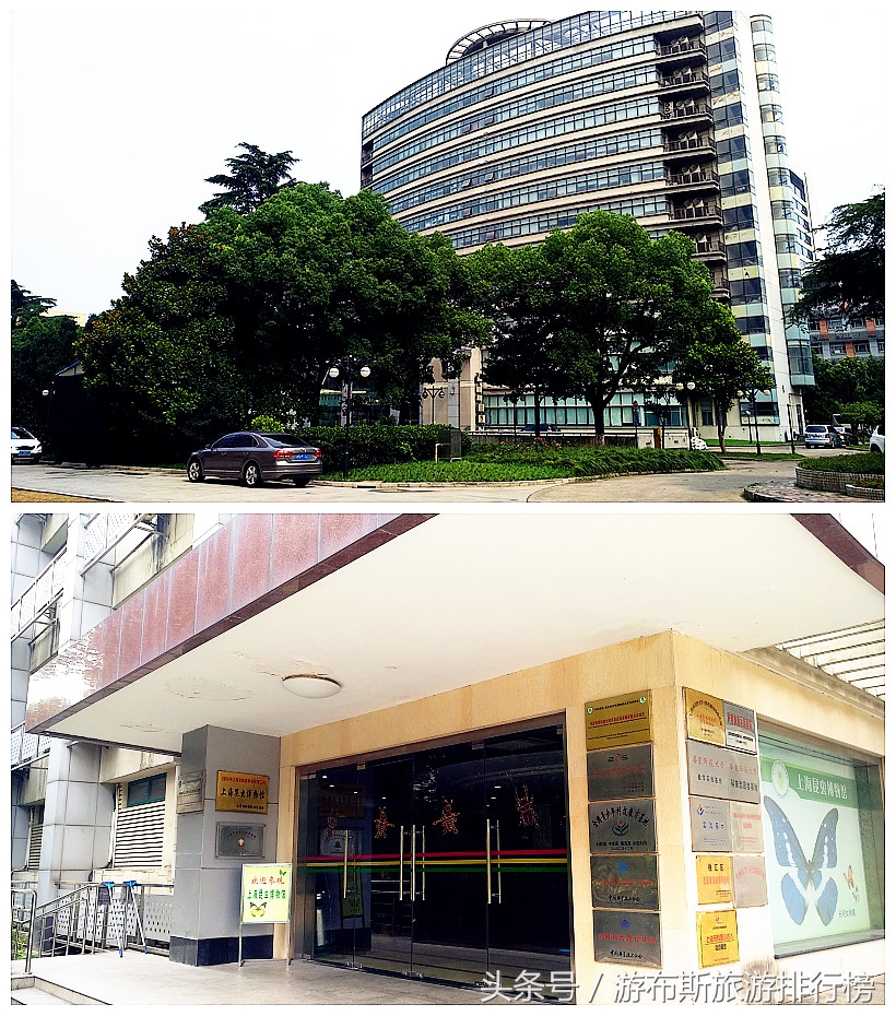 上海昆虫博物馆有哪些昆虫,上海昆虫博物馆照片