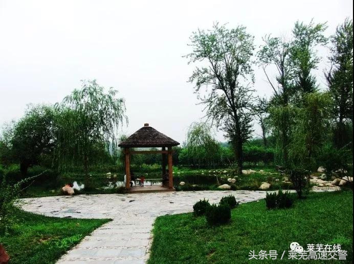 清明游莱芜莲花山,莱芜旅游十大必去景点