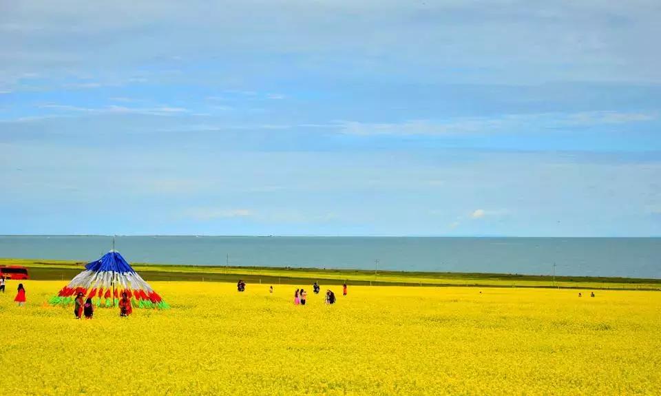 天津去哪个城市免门票,天津景区门票免票政策
