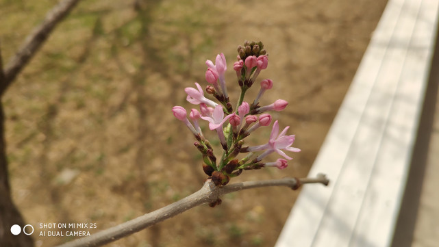 小米MIX2S测评,小米mix2s评测跑分