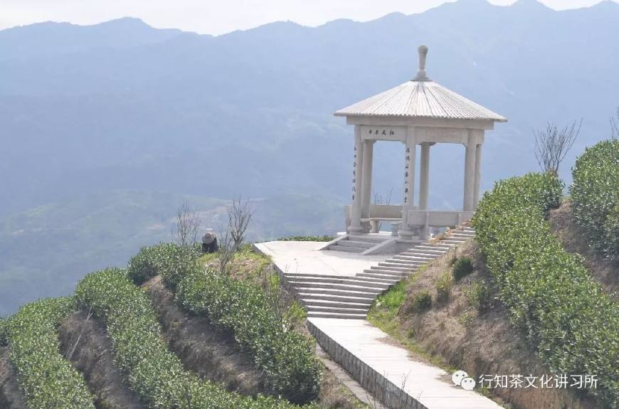 温州问道,温州问界