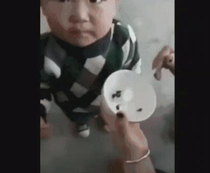 喂孩子吃活蝌蚪,生吃活蝌蚪治疗啥病