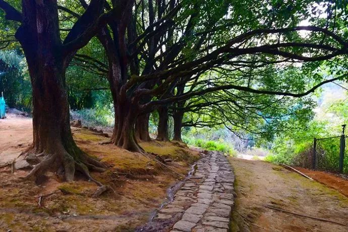 和顺最有文化底蕴的小镇,云南和顺古镇是哪个城市