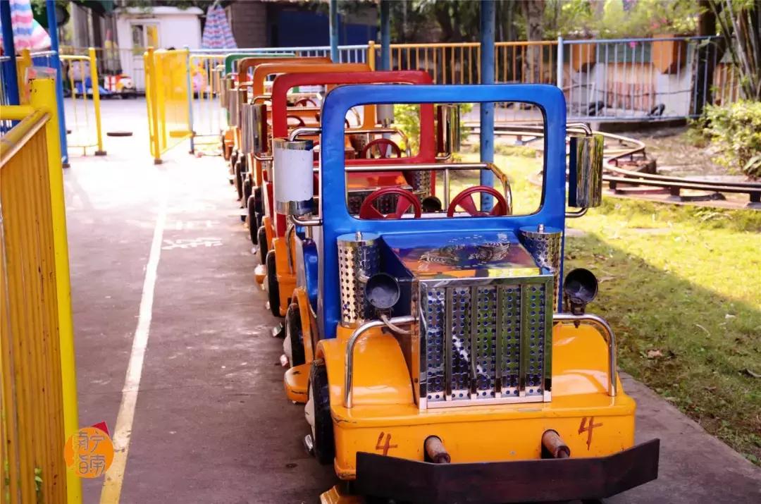 金花茶公园景点,走进金花茶公园