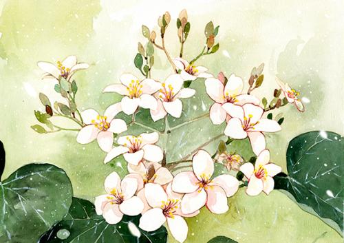 清明最好的十首诗词,十首清明最美诗词