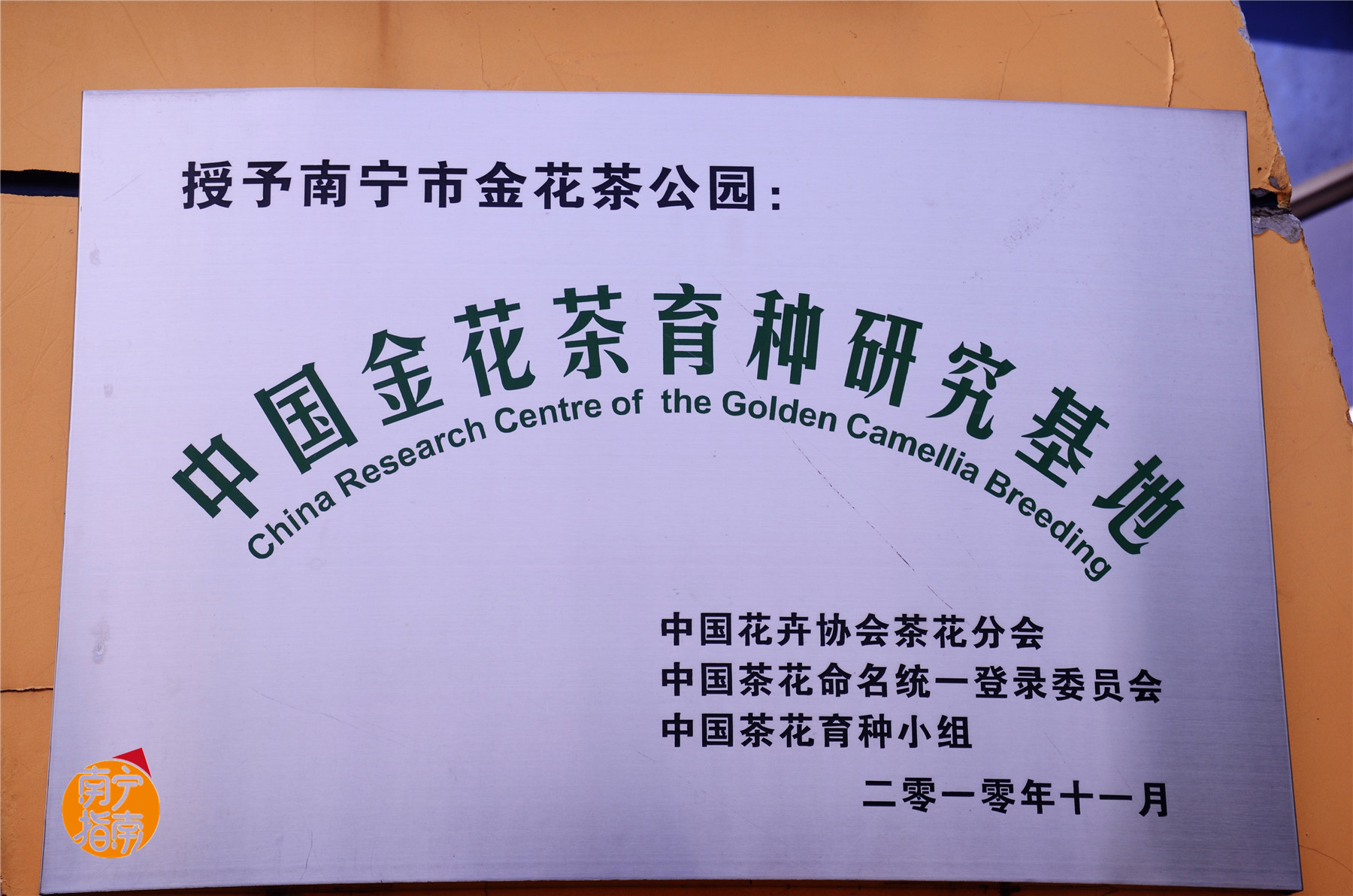 金花茶公园景点,走进金花茶公园