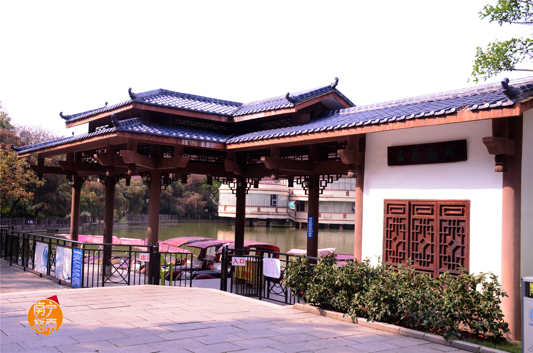 金花茶公园景点,走进金花茶公园