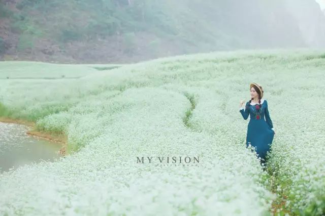 广西最美花海在哪里,广西小众美丽村庄