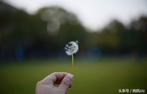 到底什么才叫一家人,什么算是一家人