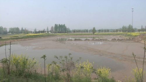 扬州北湖湿地公园规划图,扬州邗江区北湖湿地公园开放了吗