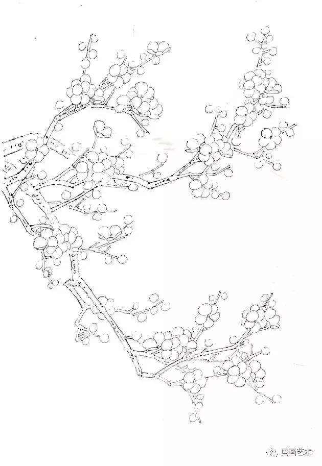 彩墨梅花国画作品欣赏,彩墨梅花画法步骤