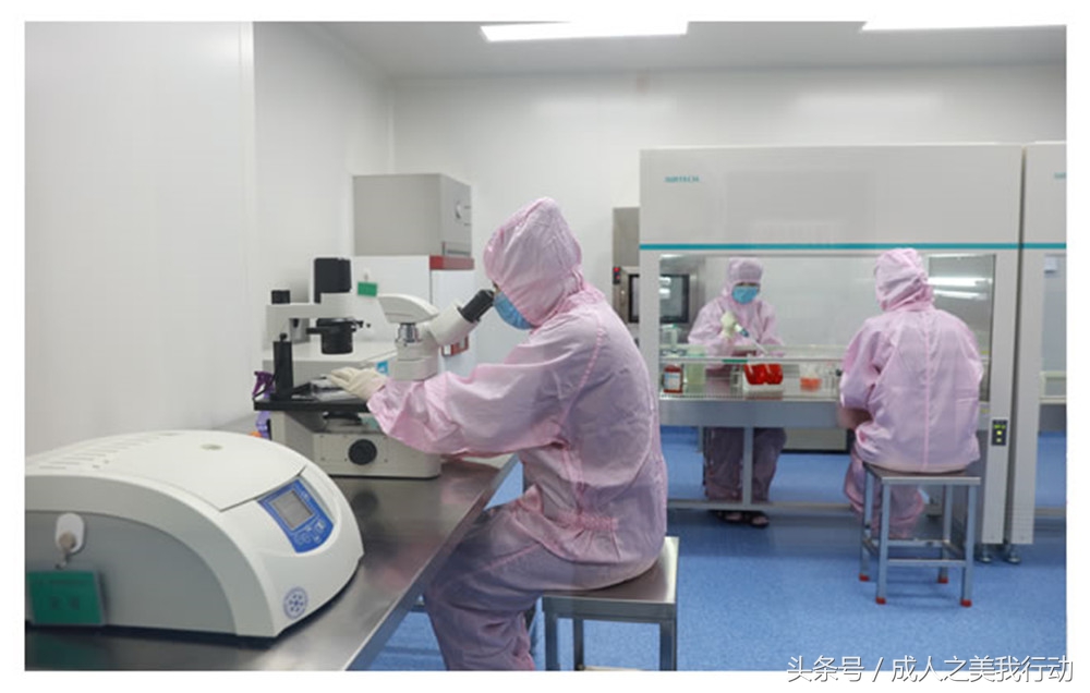 疫苗企业是老大，且看东方帝维的总经理如何谋势拿未来！