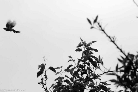 古诗中最感人的诗词,十首催泪诗词哪首击中了你的泪点