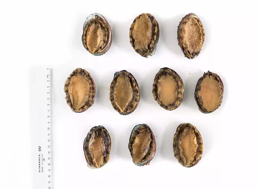 缃戜笂涔扮殑绮惧搧鐚倝,缃戜笂娣樺埌鐨勫ソ涓滆タ