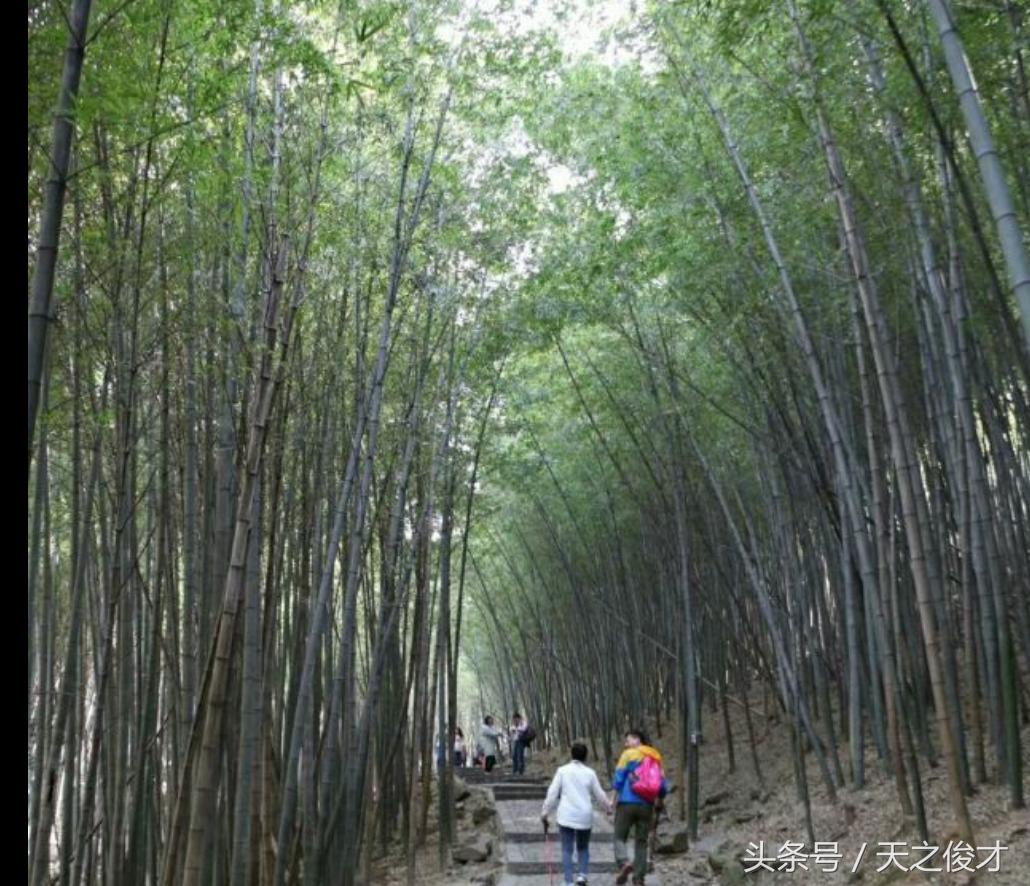 穹窿山山路陡吗,穹窿山是山吗